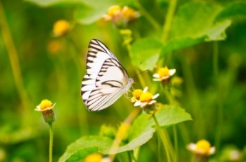 A nice, cryptic reference to my latest story.  Image courtesy of Black-HardArtstudio from FreeDigitalPhotos.net