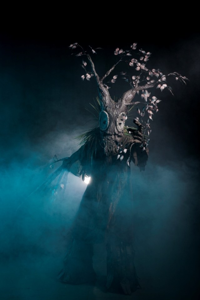 Sleeping beauty tree