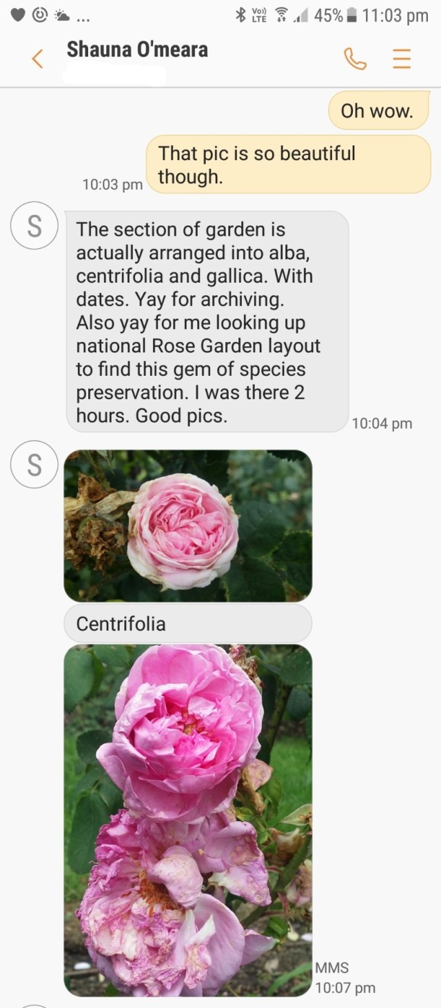 Screenshot_20171205 - roses